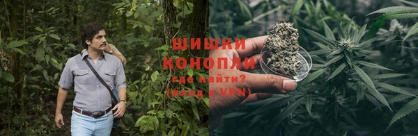 ALPHA PVP Коряжма