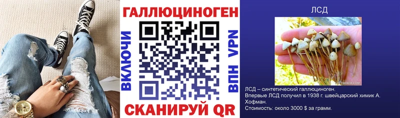Купить закладки  Починок  Псилоцибиновые грибы мухоморы 
