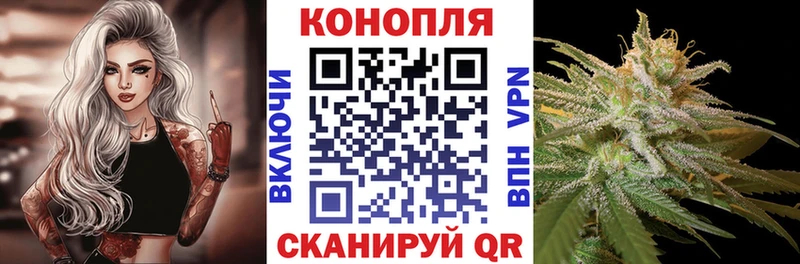 Бошки Шишки Ganja  Купить закладки  Починок 